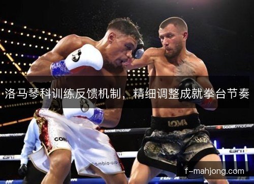 洛马琴科训练反馈机制，精细调整成就拳台节奏